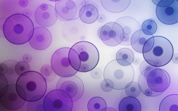 dots-and-circles-purple-24173866-2560-1600